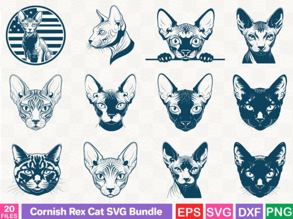 A Cornish Rex Cat Graphic for Cohesive Local Branding