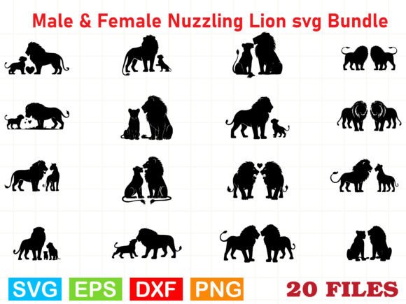 A Lion Design for Illustrations in Graphic Branding