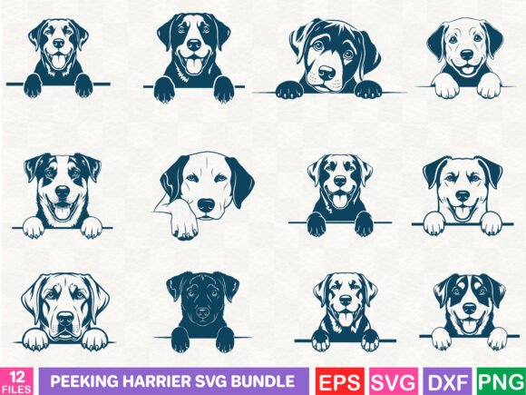 A Versatile Graphic Asset: The Peeking Harrier SVG Bundle