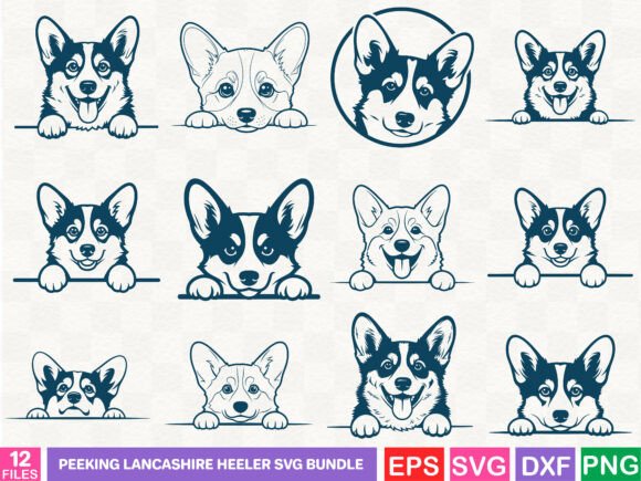 Evaluating the Lancashire Heeler Graphics for a Local Brand