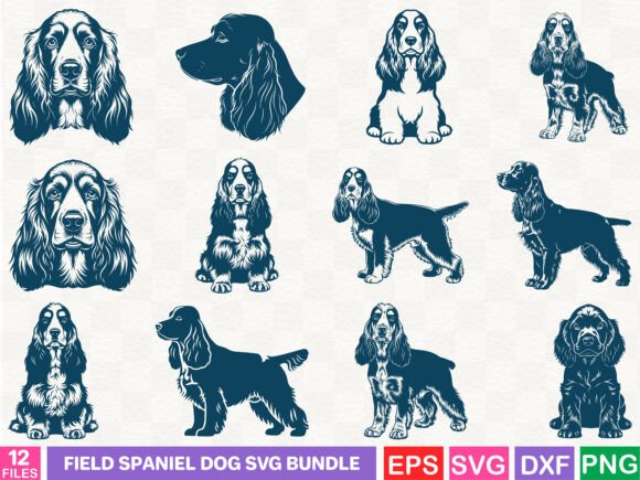 Expert Review: Field Spaniel Dog Graphics for Publishing